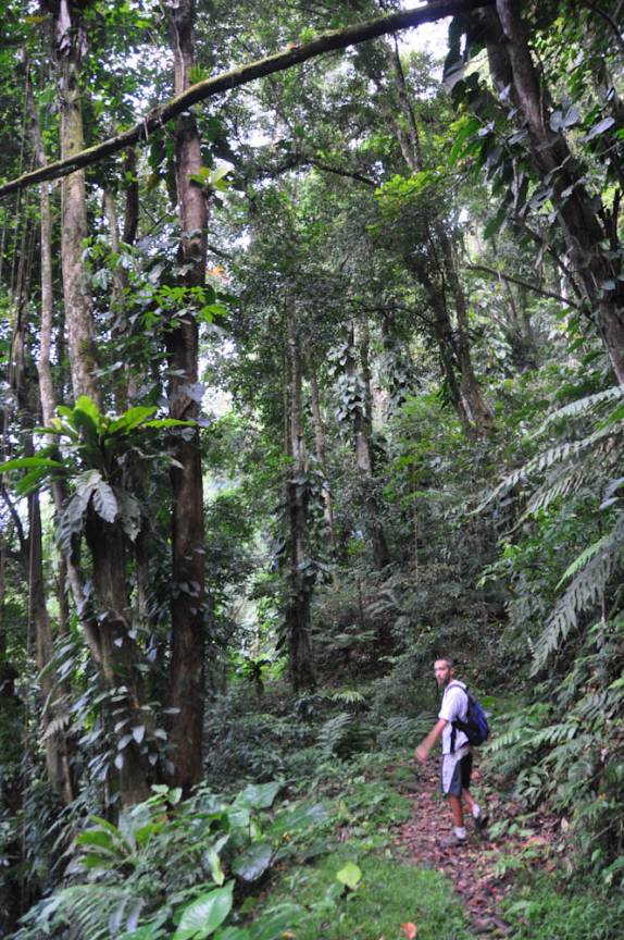 Descendo o El Tucuche, a segunda mais alta montanha da ilha de Trinidad